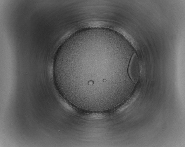 X0000112030445200908171454