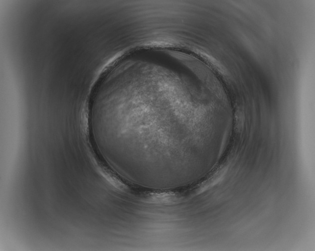 X0000112030446200908171454