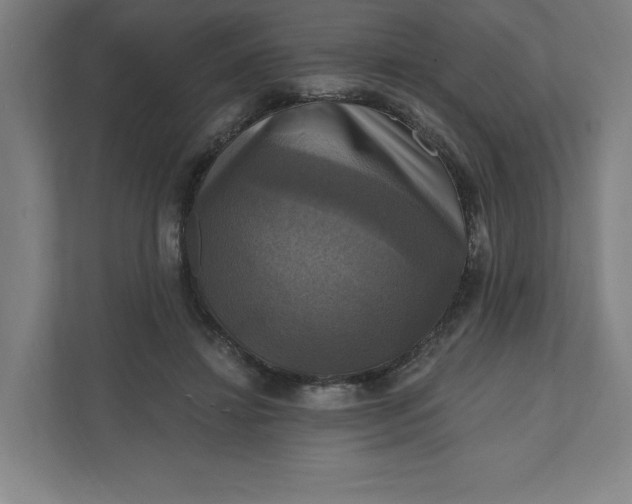X0000112030452200908171454