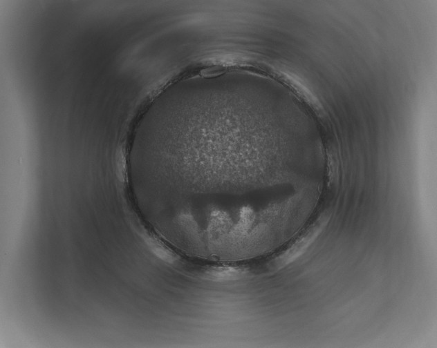 X0000112030453200908171454