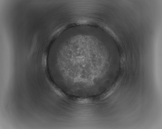 X0000112030454200908171454