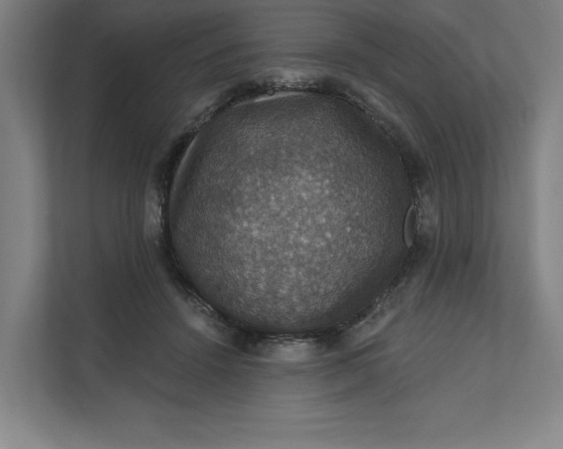 X0000112030456200908171454