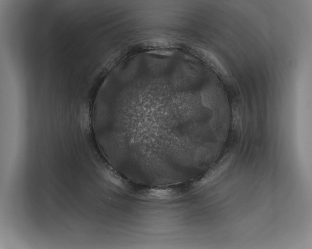 X0000112030457200908171454