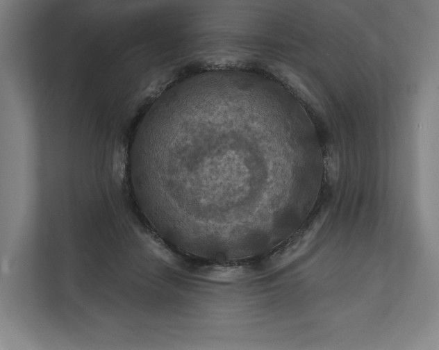 X0000112030458200908171454