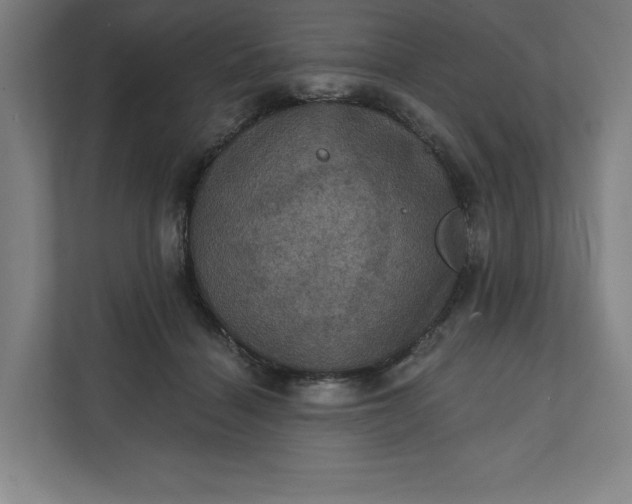 X0000112030460200908171454