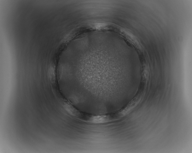 X0000112030461200908171454