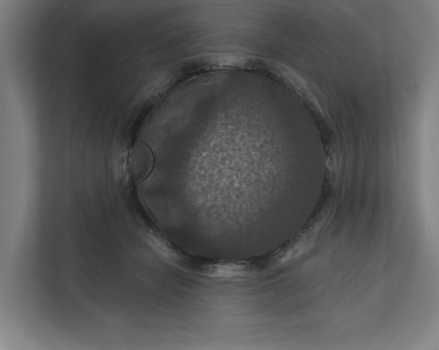 X0000112030462200908171454