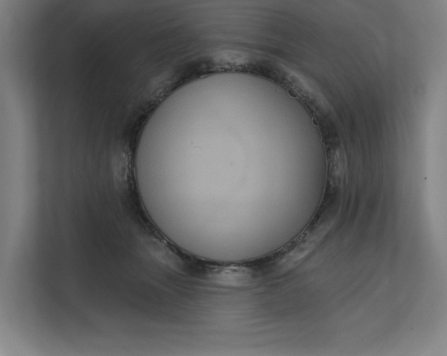 X0000112030463200908171454