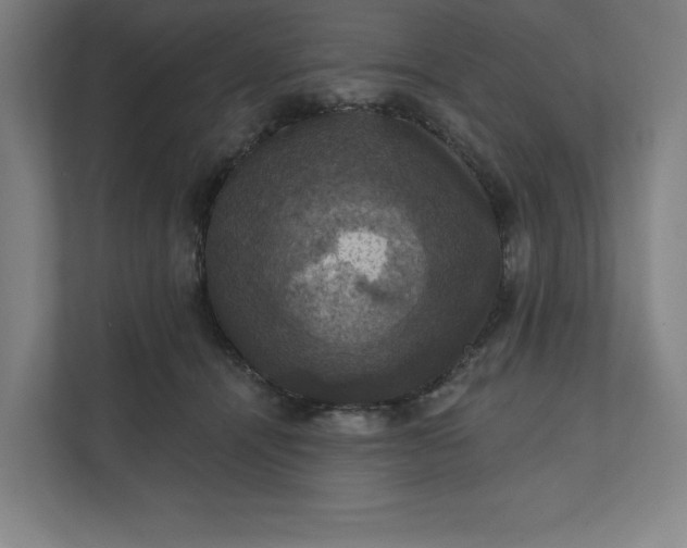 X0000112030464200908171454