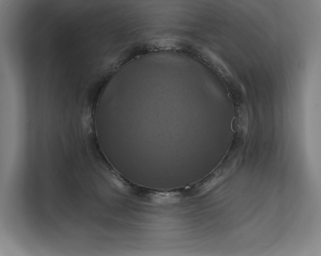 X0000112030465200908171454