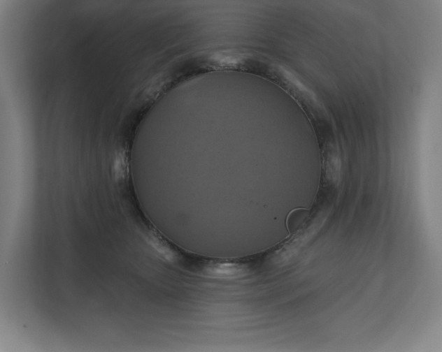 X0000112030467200908171454