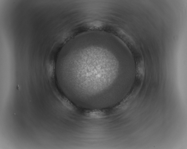 X0000112030468200908171454