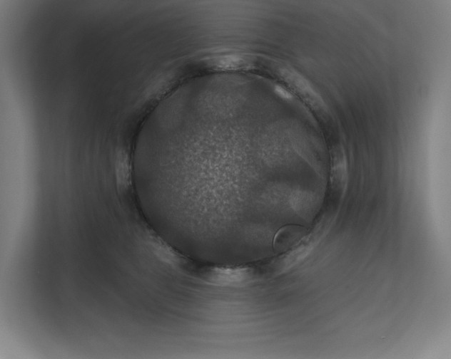 X0000112030469200908171454