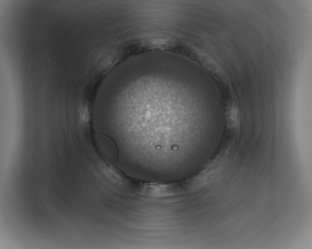 X0000112030472200908171454