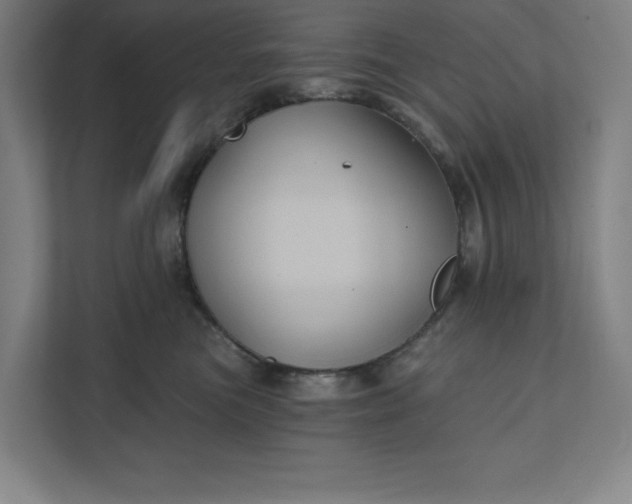 X0000112030473200908171454