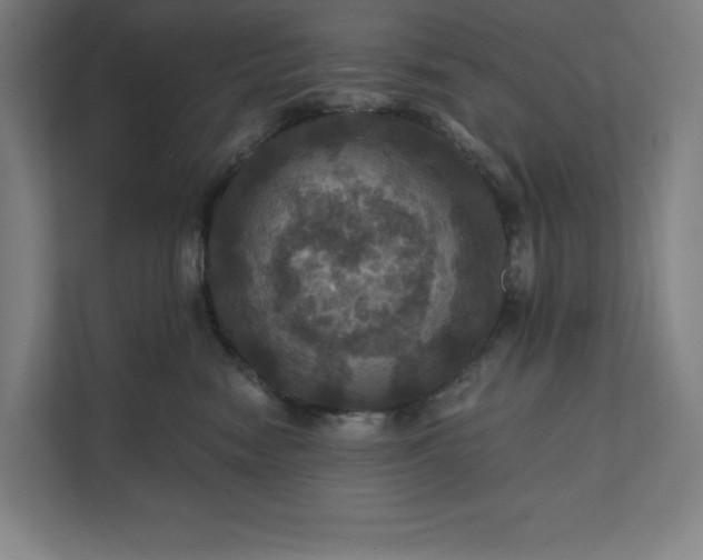X0000112030474200908171454