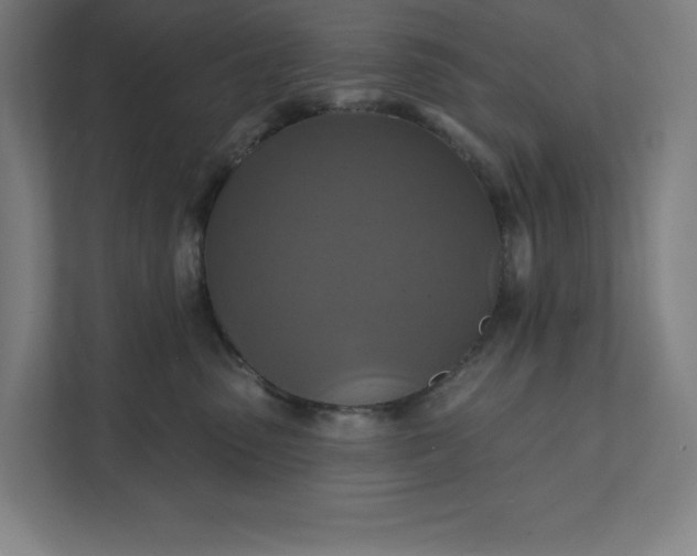 X0000112030475200908171454