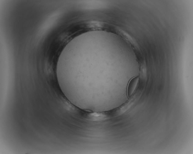 X0000112030477200908171454