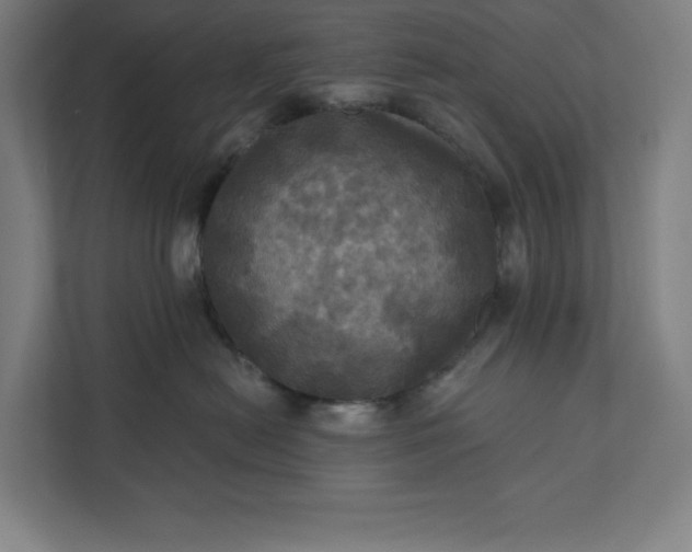 X0000112030478200908171454
