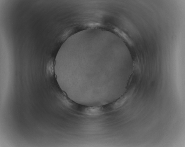 X0000112030479200908171454