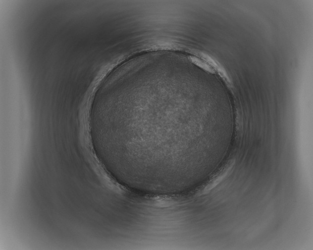 X0000112030481200908171454