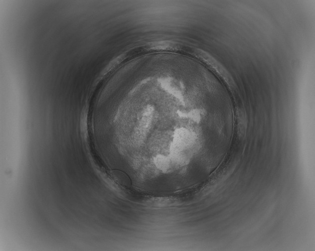 X0000112030482200908171454