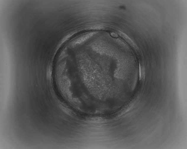 X0000112030483200908171454