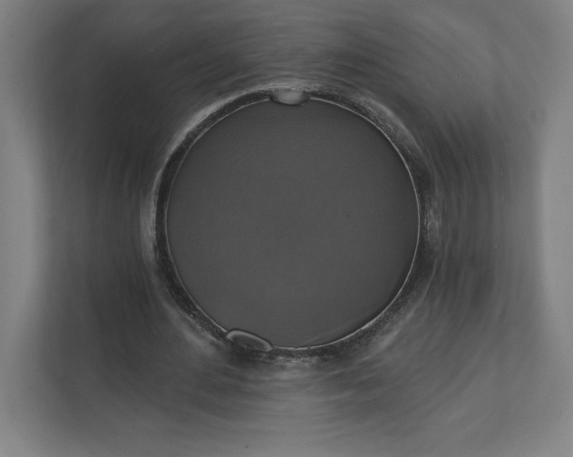 X0000112030484200908171454