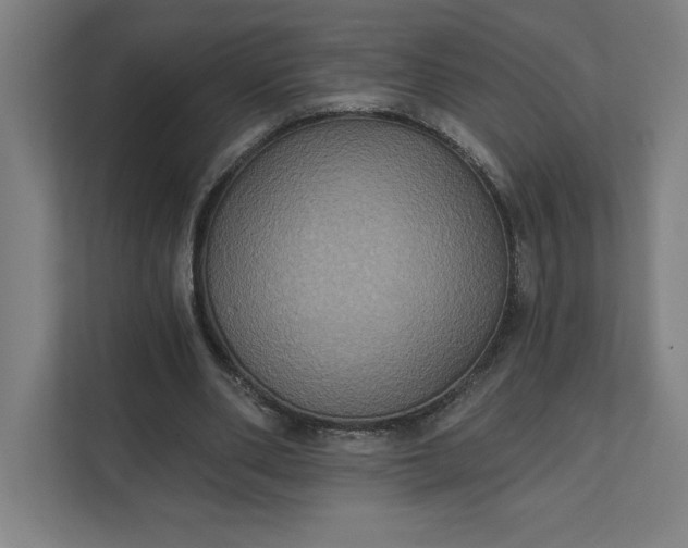 X0000112030486200908171454