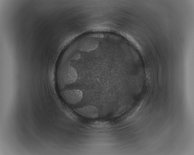 X0000112030487200908171454