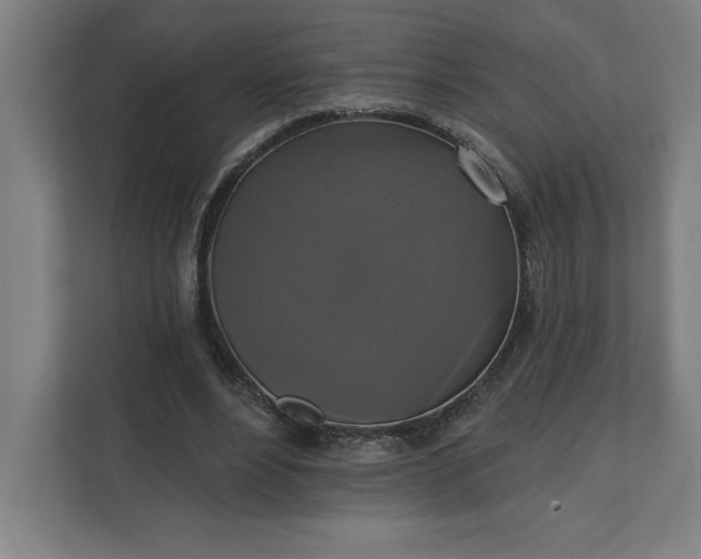 X0000112030488200908171454