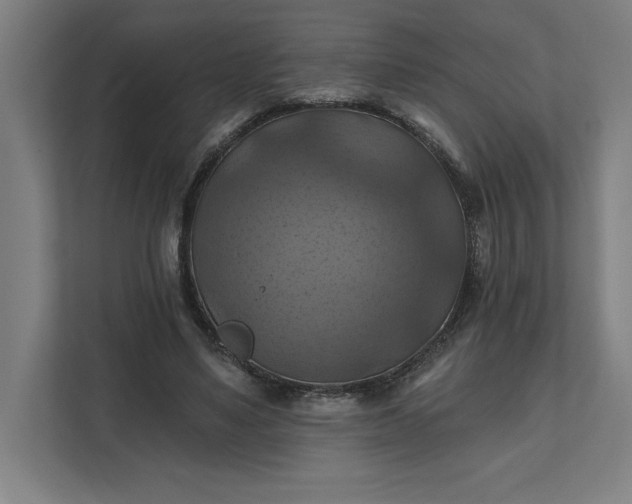 X0000112030491200908171454