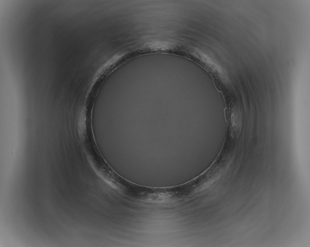 X0000112030492200908171454