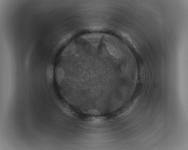 X0000112030495200908171454