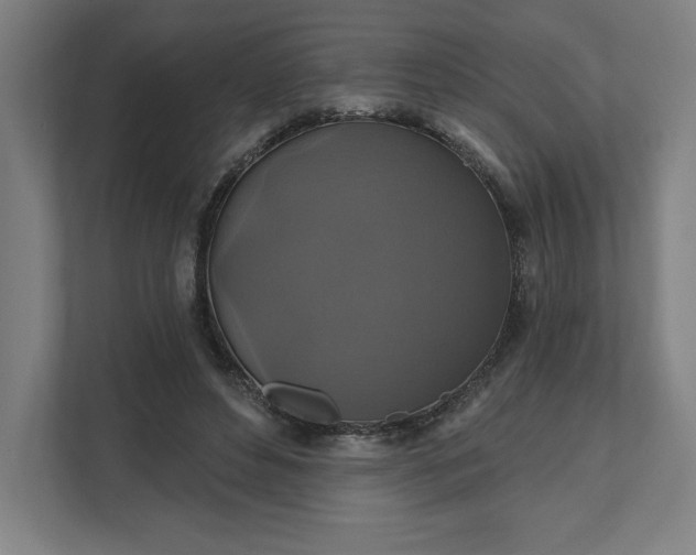 X0000112030496200908171454