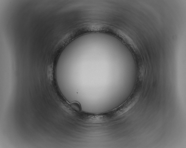X0000112030497200908171454