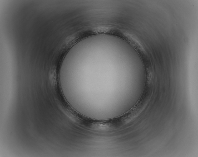 X0000112030498200908171454