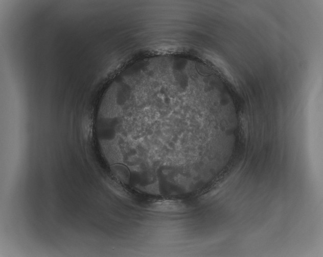 X0000112030499200908171454