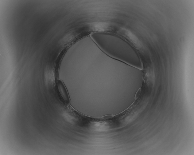 X0000112030500200908171454