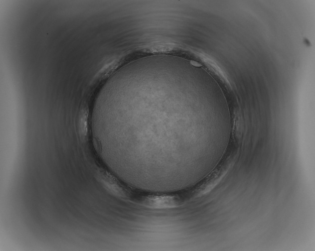 X0000112030501200908171454