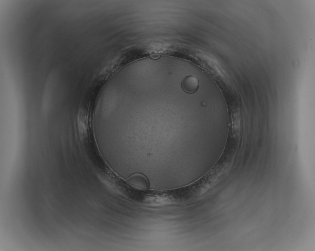 X0000112030503200908171454