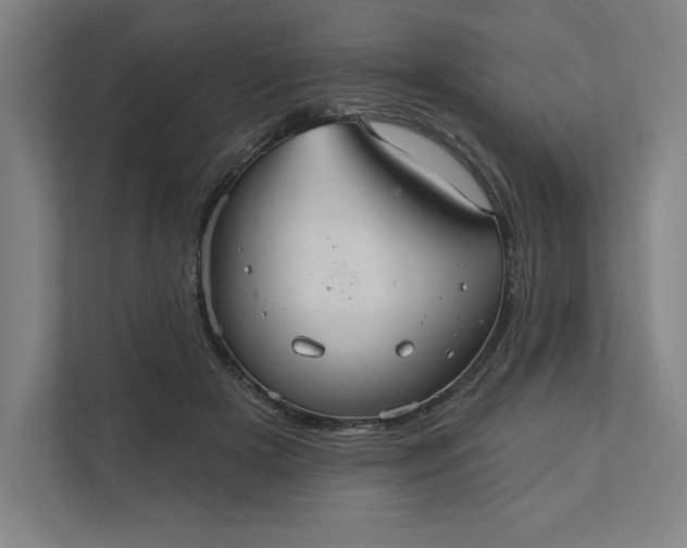 X0000112030505200908171454