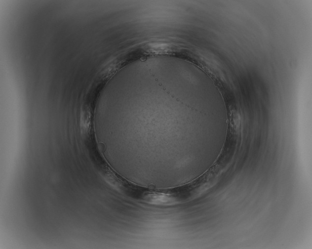 X0000112030507200908171453