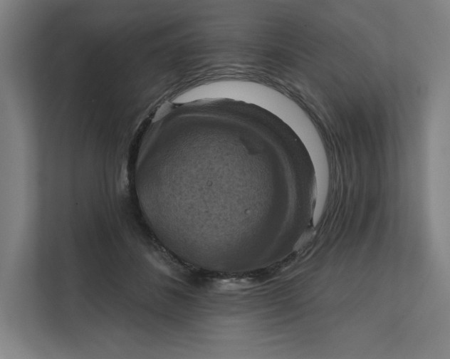 X0000112030508200908171453