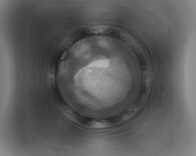 X0000112030510200908171453