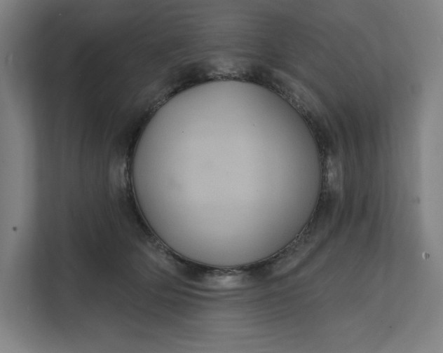 X0000112030514200908171453