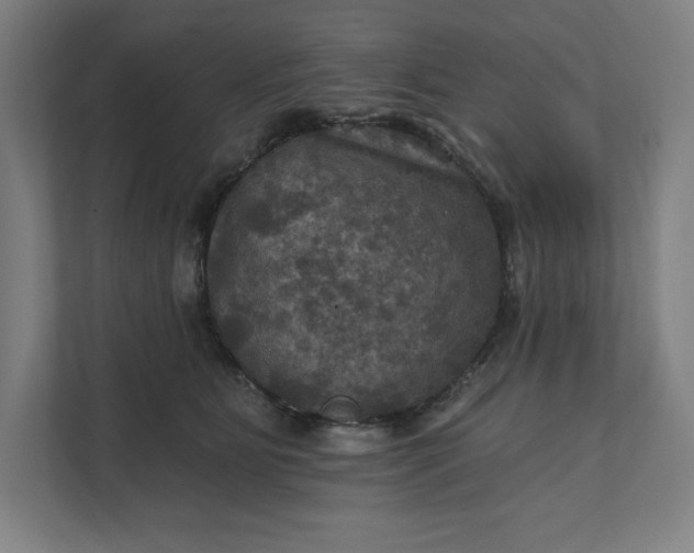 X0000112030515200908171453