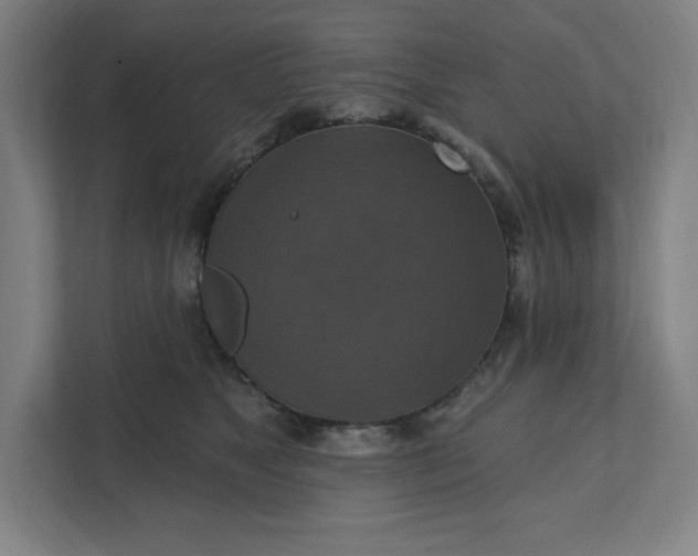 X0000112030517200908171453