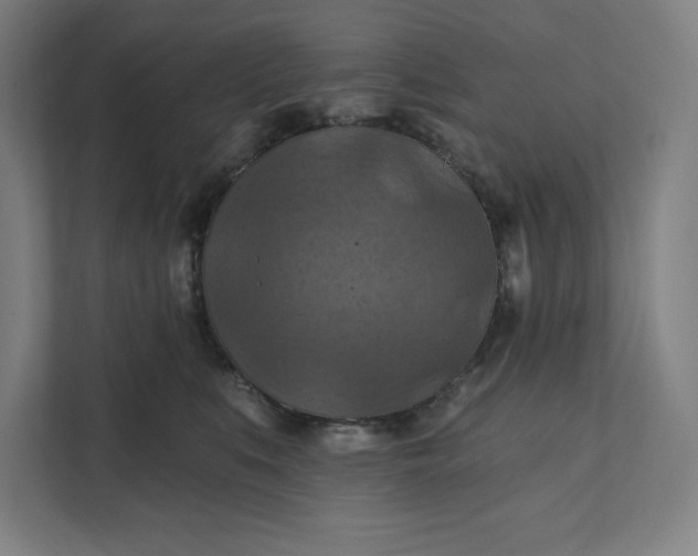 X0000112030519200908171453