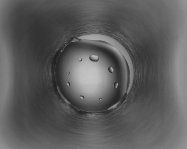 X0000112030520200908171453